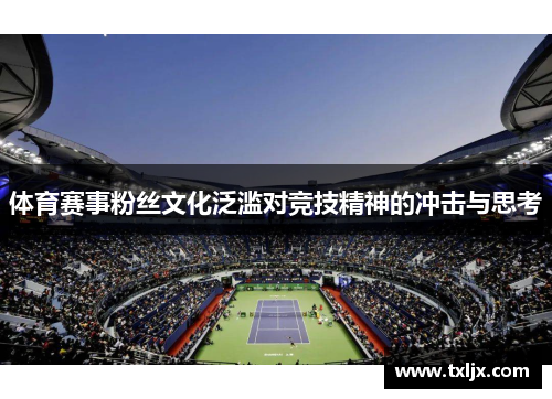体育赛事粉丝文化泛滥对竞技精神的冲击与思考